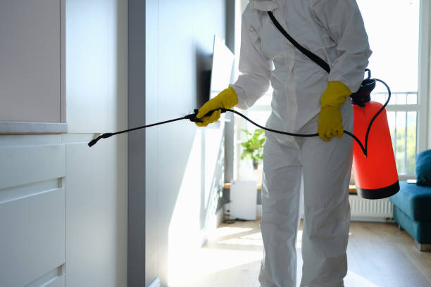 Best Commercial Mold Removal  in Lake City, FL